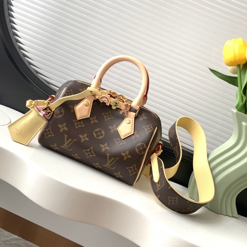 LV Speedy Bags